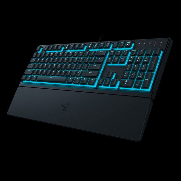 Razer Ornata V3 X